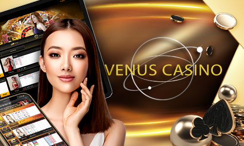 224bet 77bet cassino Terminal móvel