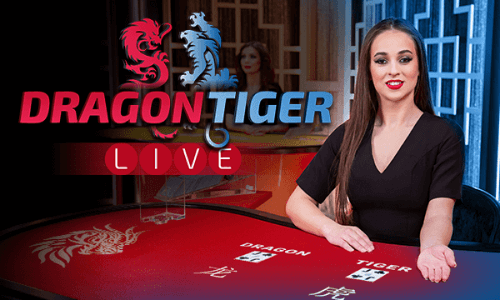 224bet tigrinho bet365 cassino Terminal móvel